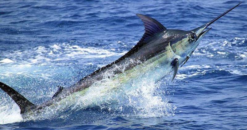 Pinterest/SunSandSurf Girl